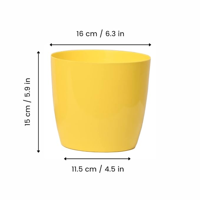 Keeva 6 Pcs 16 cm Plastic Glossy Round Planter for Home Garden | Garden and Home Decor Planter | Plastic Round Pot with 1 KG Polestar Organic Compost (Multiple Colors)