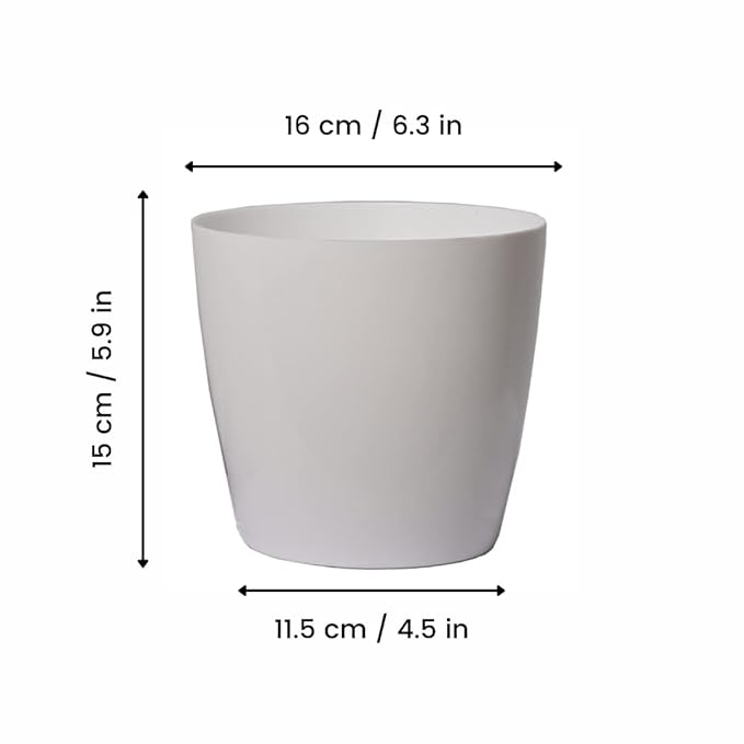 Keeva 6 Pcs 16 cm Plastic Glossy Round Planter for Home Garden | Garden and Home Decor Planter | Plastic Round Pot with 1 KG Polestar Organic Compost (Multiple Colors)