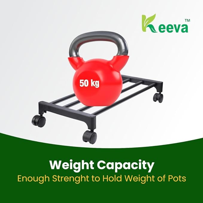 Keeva Plant Stand with Wheels, Planter Stand with Wheels for Flower Pots and Plant Pots (Rectangular-Pack of 2)