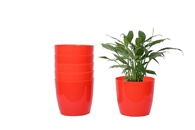 Keeva 6 Pcs 16 cm Plastic Glossy Round Planter for Home Garden | Garden and Home Decor Planter | Plastic Round Pot with 1 KG Polestar Organic Compost (Multiple Colors)