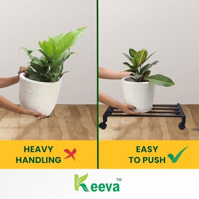 Keeva Plant Stand with Wheels, Planter Stand with Wheels for Flower Pots and Plant Pots (Rectangular-Pack of 2)