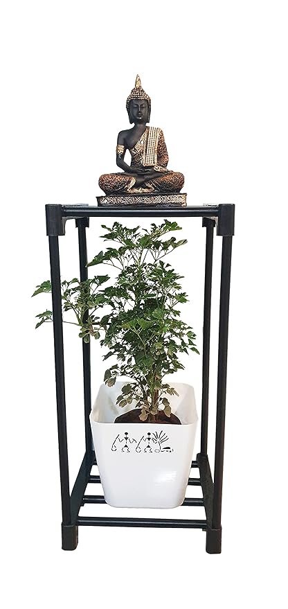 Keeva 2 Step Vertical Plant Stand - Multiple Pot Stand Indoor/Outdoor, Multipurpose Stand, Racks, Planter Stand